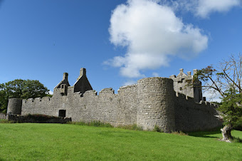 The Irish Tower House