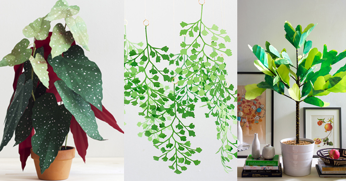 Plantas de papel - Corrie Hogg
