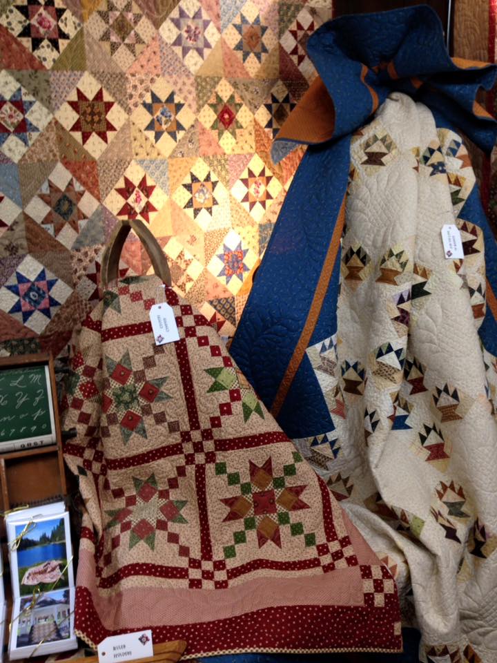 Sew'n Wild Oaks Quilting Blog Annie's Star Quilt Show in Chico