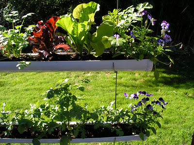 Decoracion Actual de moda: Jardines Colgantes