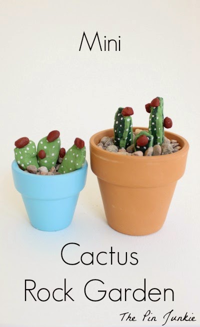 cactus-rock-garden diy