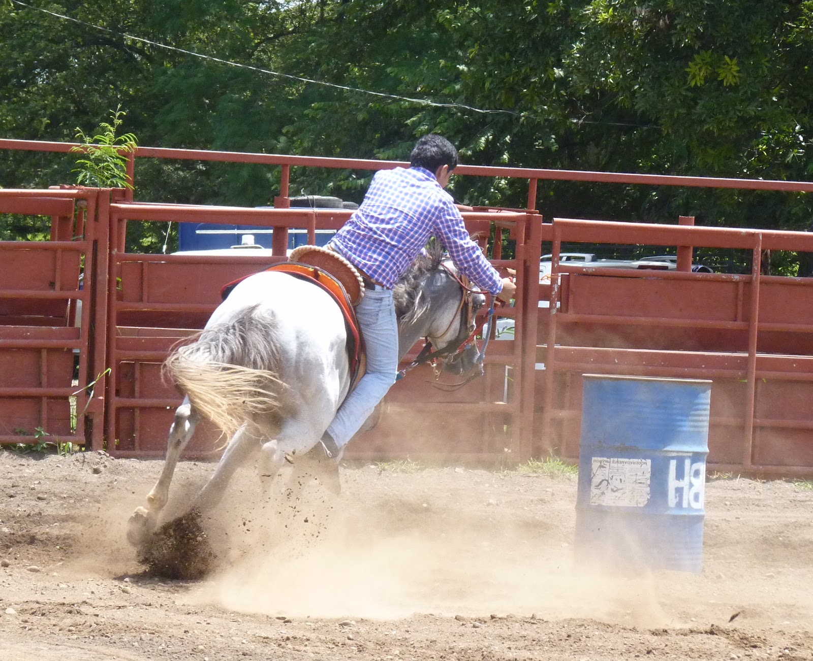 Horse Talk Panama Carreras de Barriles la Competencia Panamá•Barrel