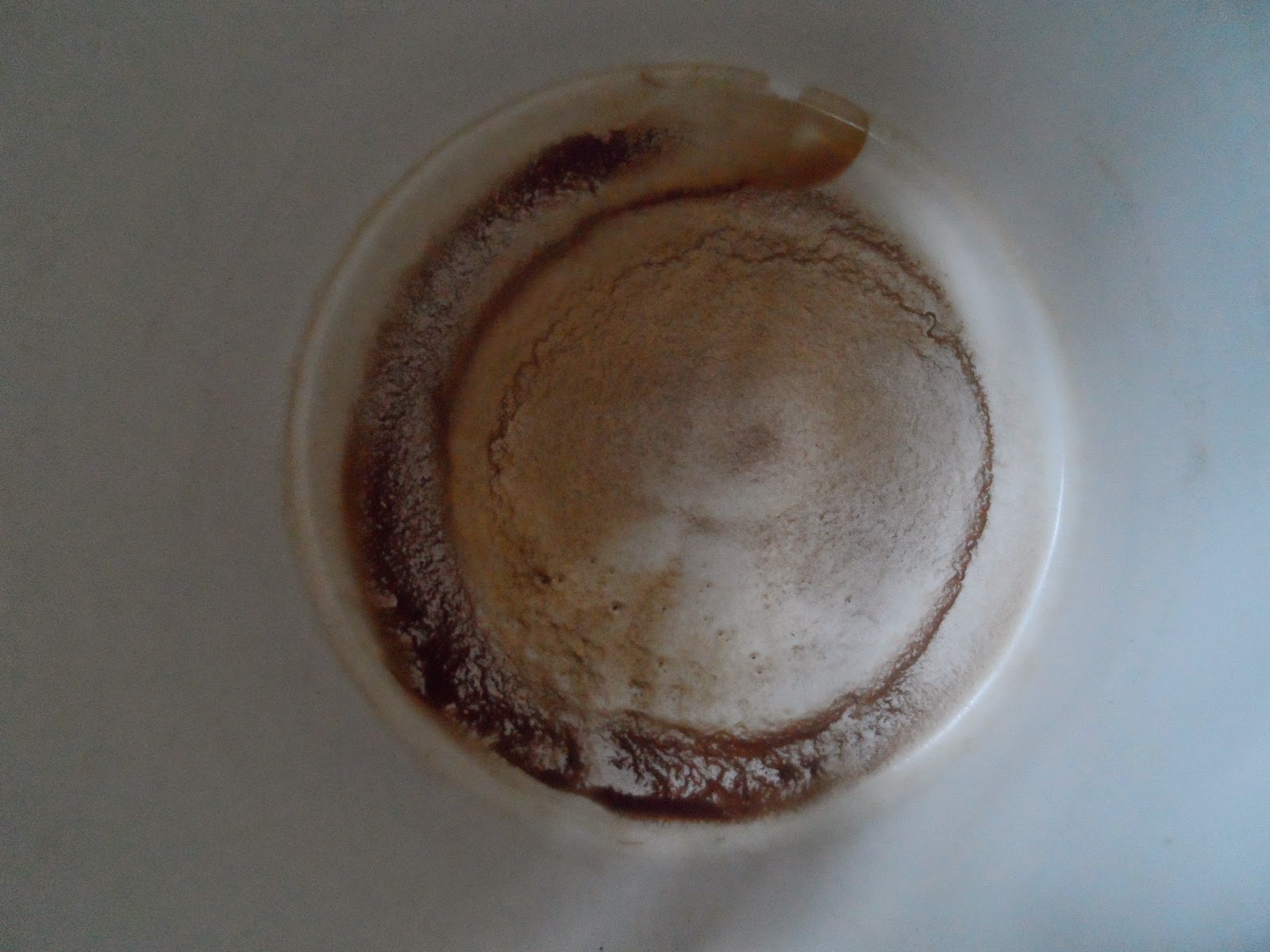 Addie Road Bird'sEye View of Everyday Objects