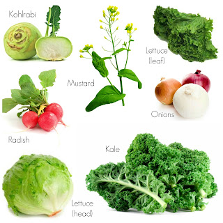 Ini dia Makanan Yang Dapat Membantu Mengencerkan Darah Kental Ini dia Makanan Yang Dapat Membantu Mengencerkan Darah Kental