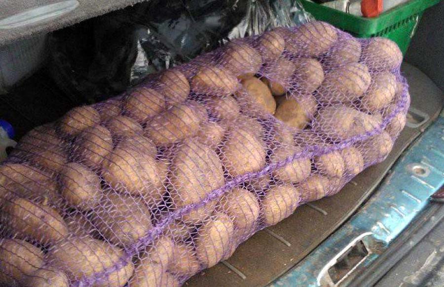 Мешок картошки сколько кг. Килограмм картошки. Мешок картошки 30 кг. Картофель в сетке 2 кг. Сетка 30 кг картошки.