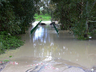 El viejo puente cubierto por las aguas del Guadalete (diciembre 2003)