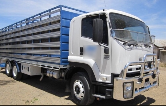 Modifikasi Mobil Truk Hino Dutro-putih biru