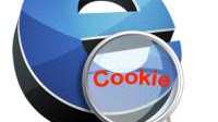 Cosa sono i cookie di internet? sono pericolosi per la privacy?