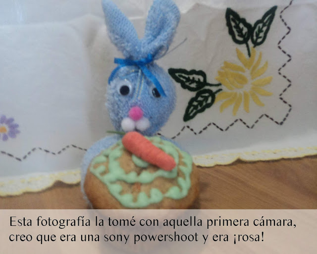 Un año de fotografía.