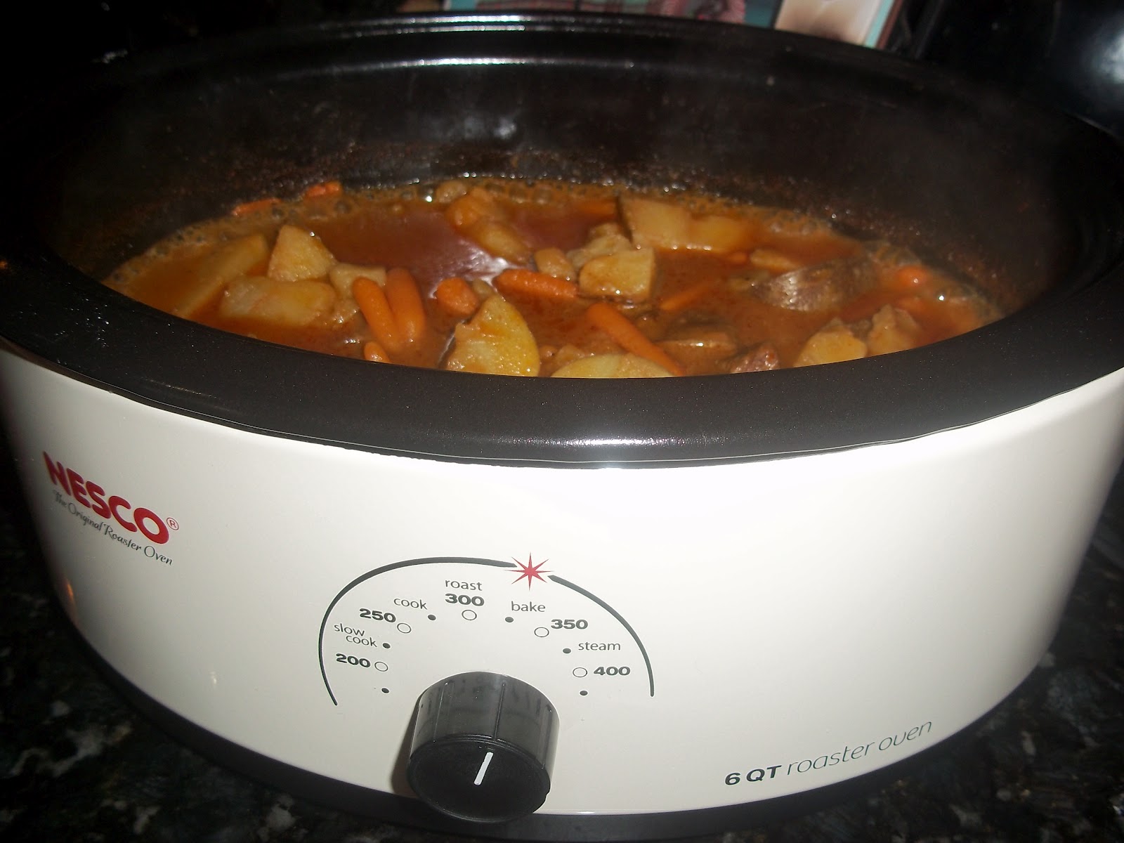 Hits And Misses Nesco Roaster