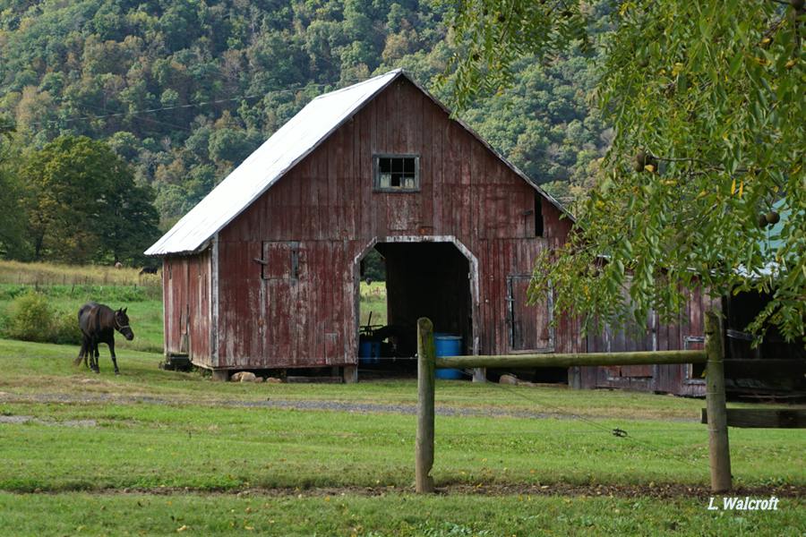 The View from Squirrel Ridge Hickory Hill Farm Near Moorefield