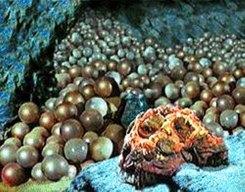 Star Trek Tafelrunde "Hermann Darnell" Potsdam Babelsberg: Die Star