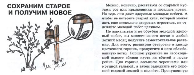 Замок вальзен, бельгия. Давний сохранить. Давний сохранить. Замок графов фландрии гент. Консерватизм.