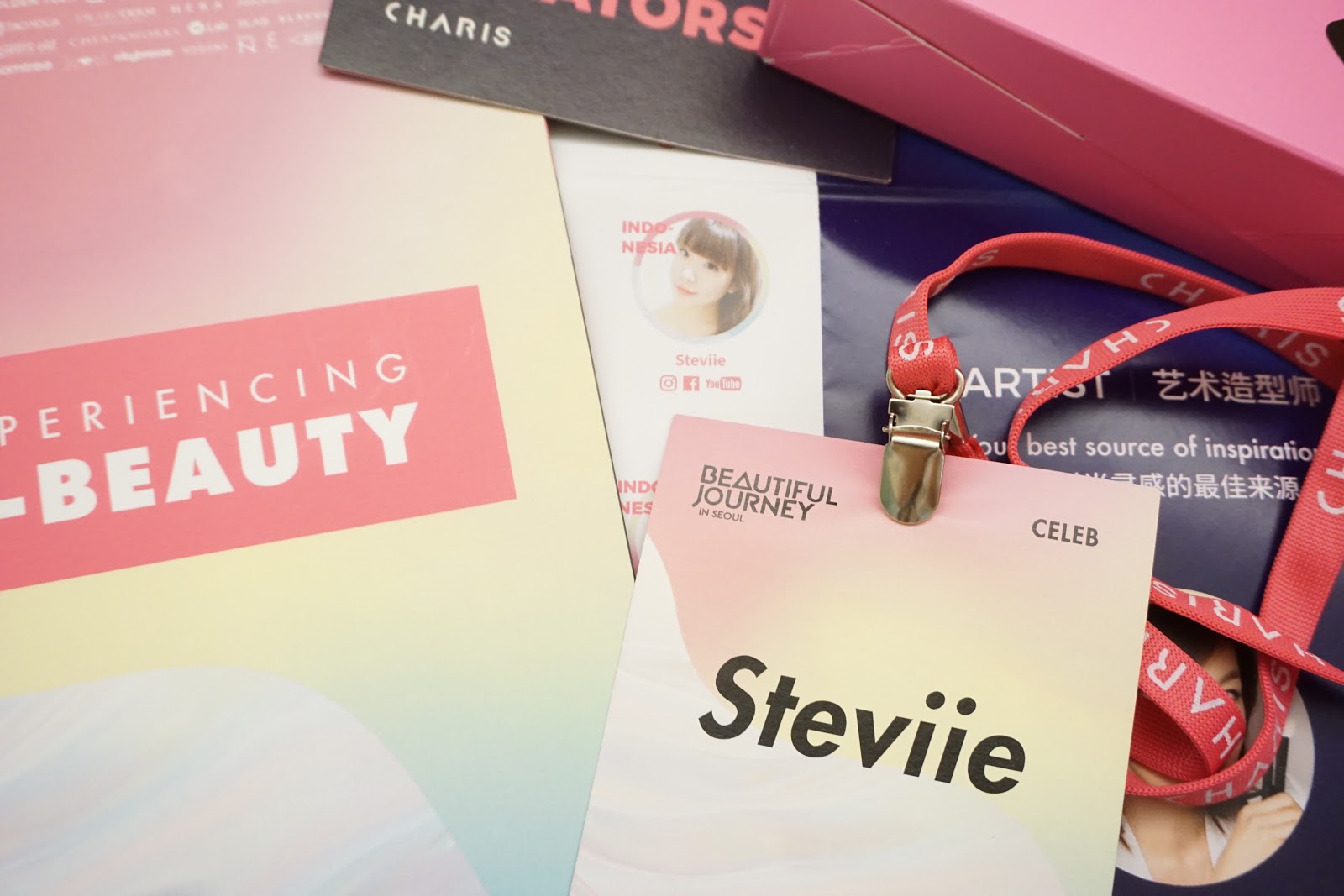 Beautiful Journey Seoul, Korea Trip Pt.2 - Stevie Wong