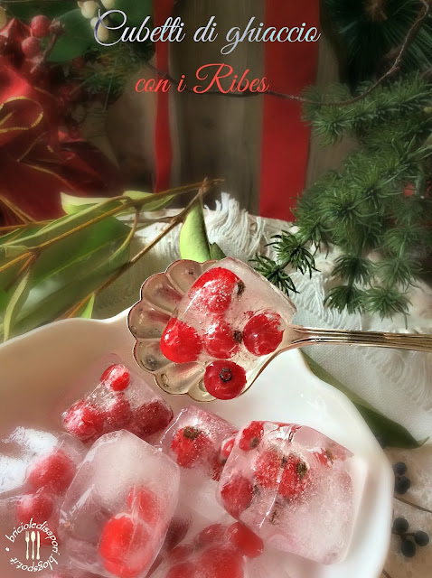 cubetti di ghiaccio con i ribes per un aperitivo natalizio