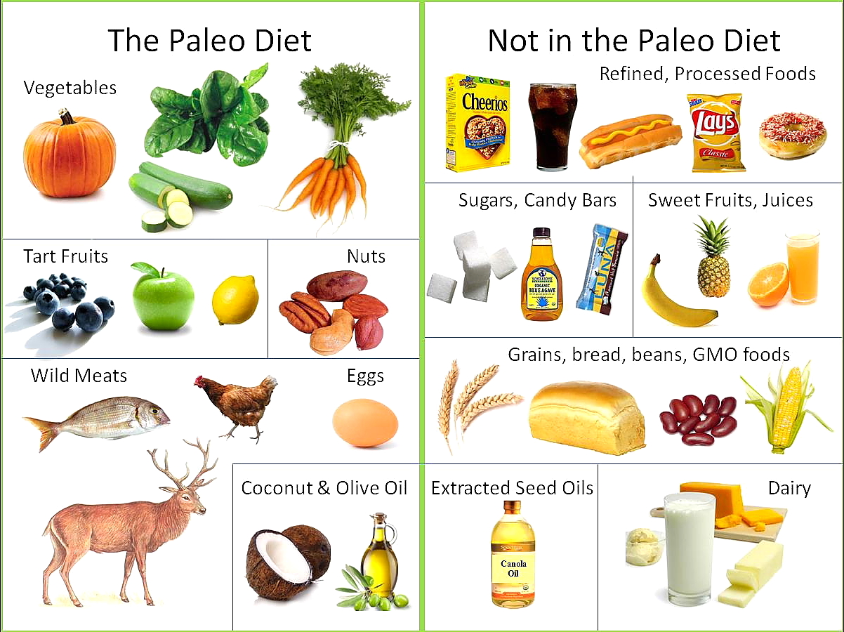 What Is The Paleo Diet? Health Care Center