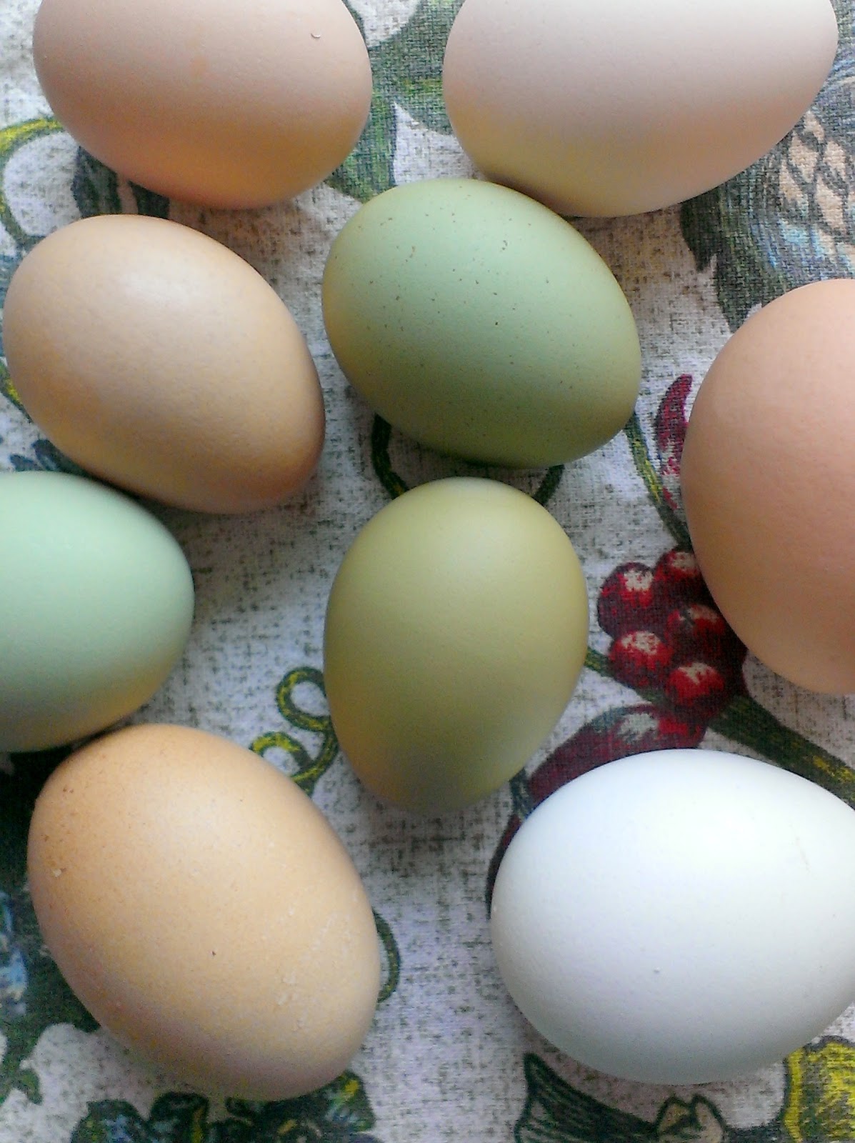 green eggs and green eggs and