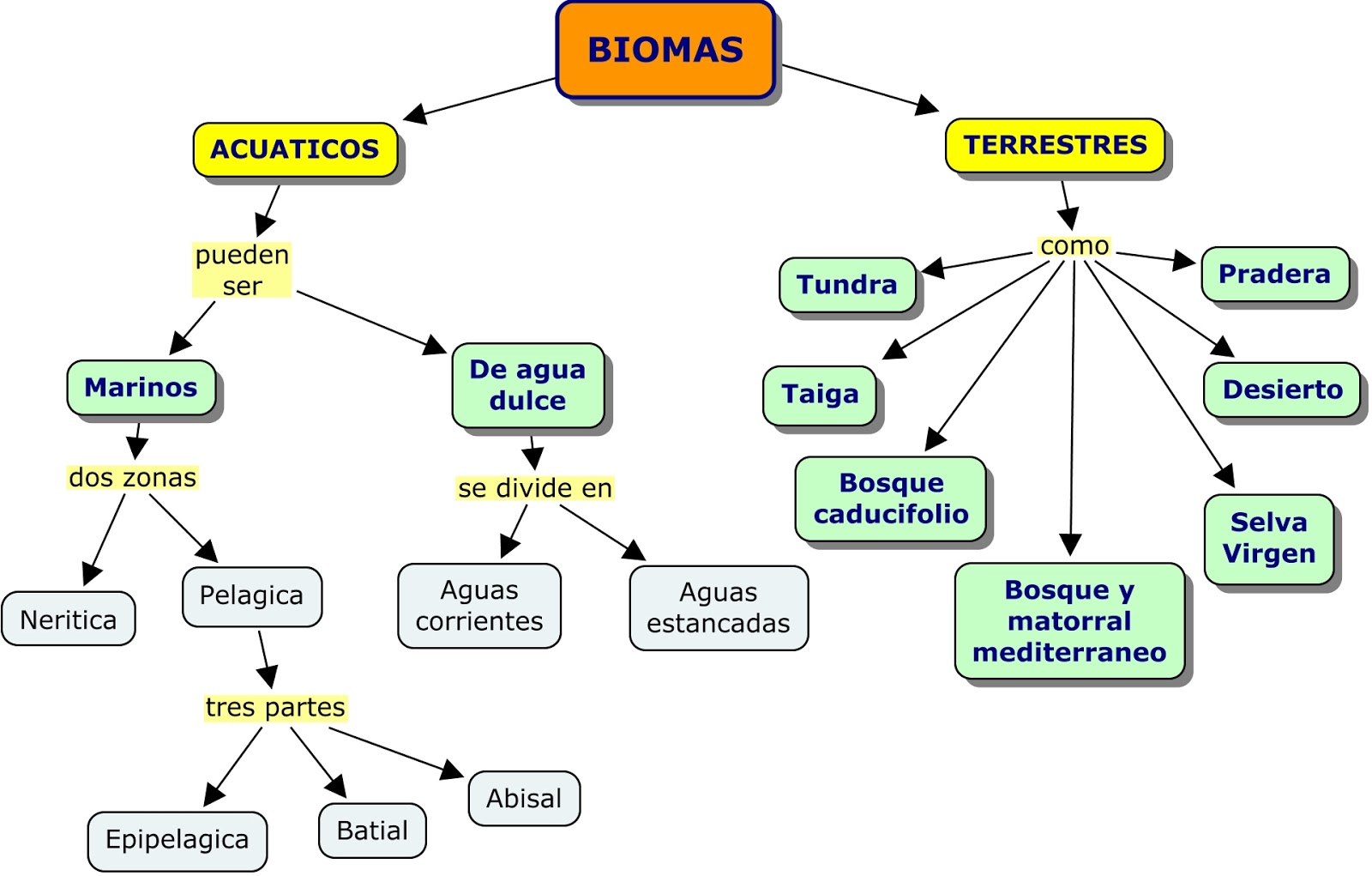 BIOLOGÍA Y MEDIO AMBIENTE Tipos de