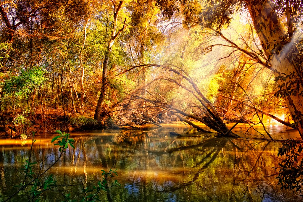 El Mundo De Zu Zu S World Naturaleza Fantastica