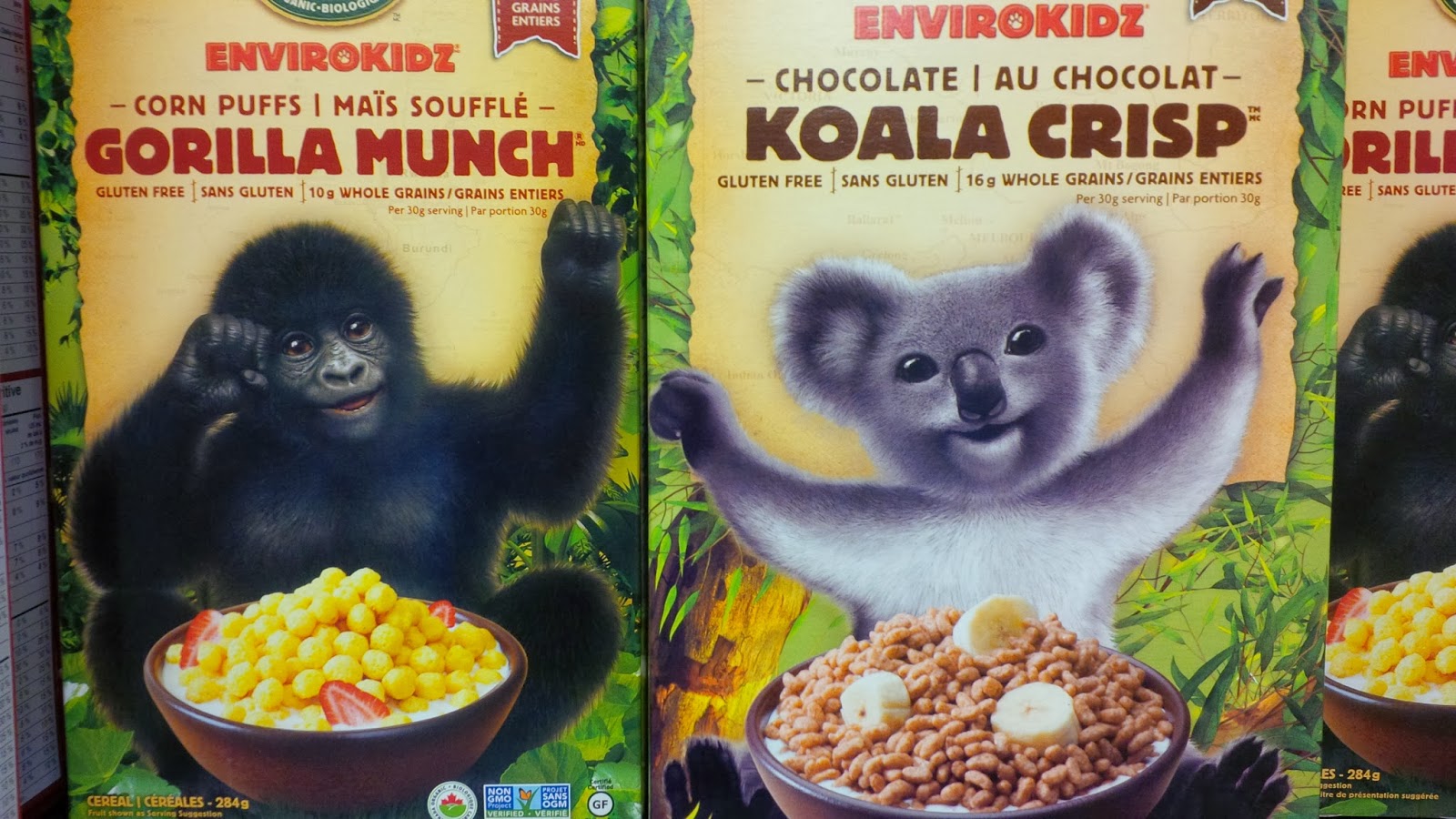 StuLand January 5, 2014