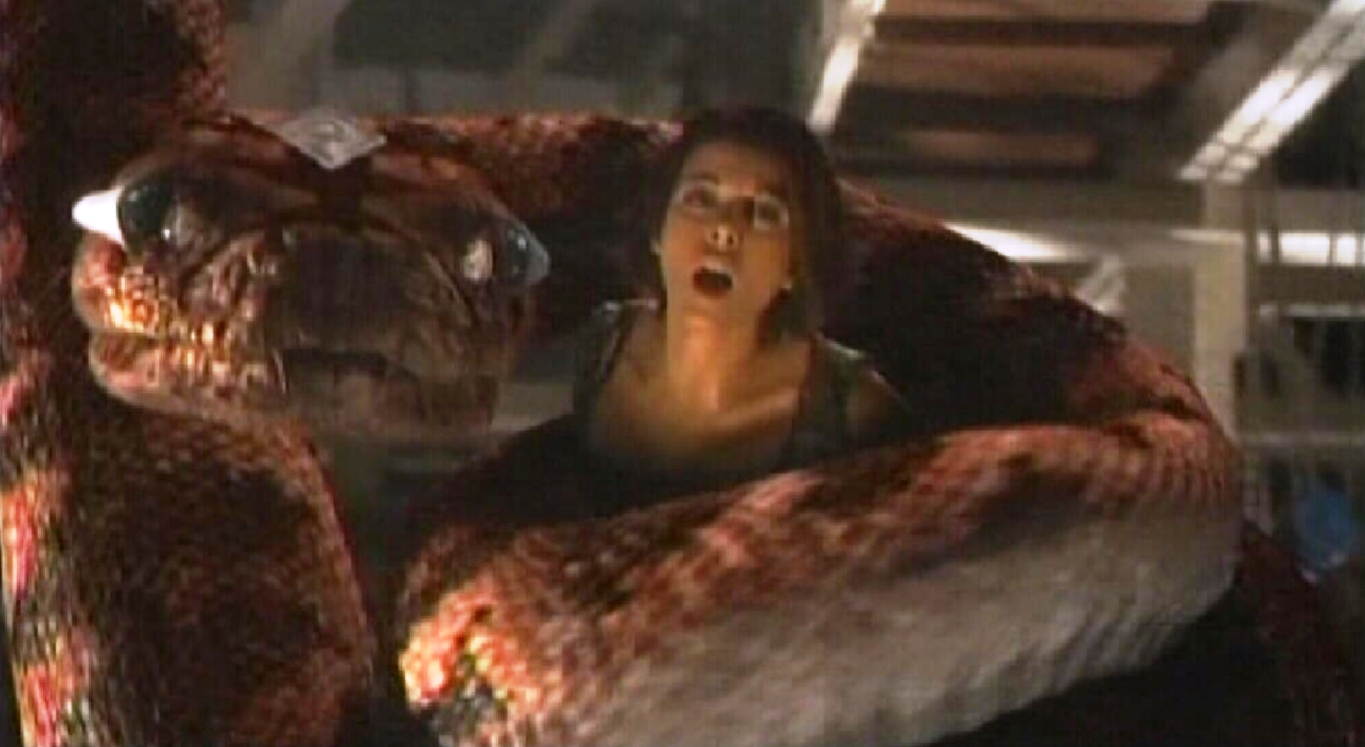 boa vs python 2004 snake love