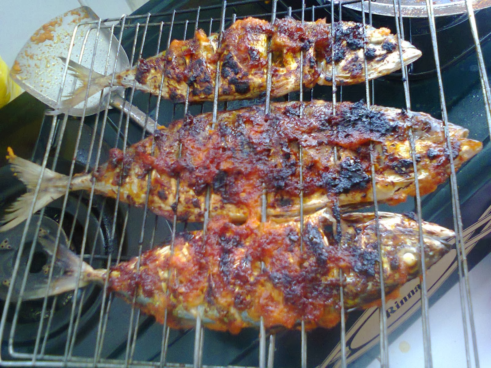 Ikan Bakar Dapur Arang Desainrumahid Ikan Bakar Dapur Arang Desainrumahid