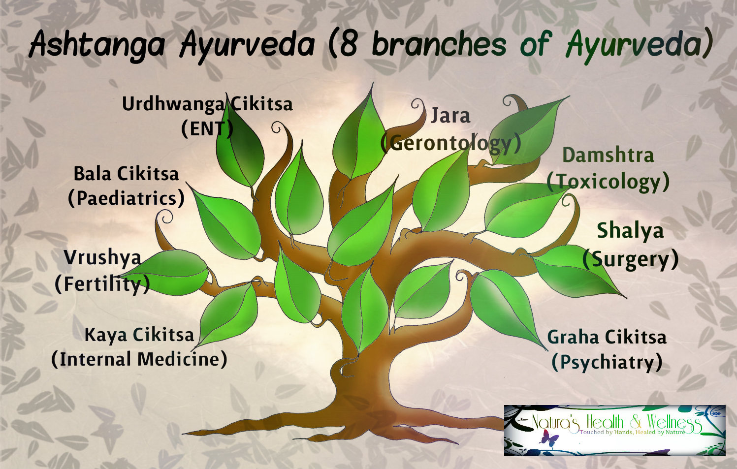 DYNAMIC PASSION WORLD Ayurveda the healing touch