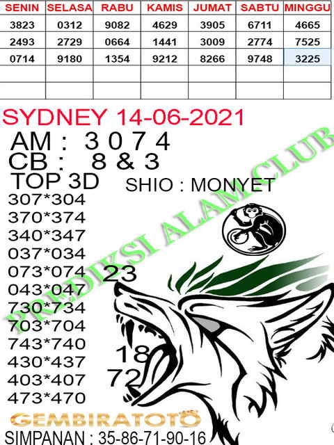 gambar togel sydney