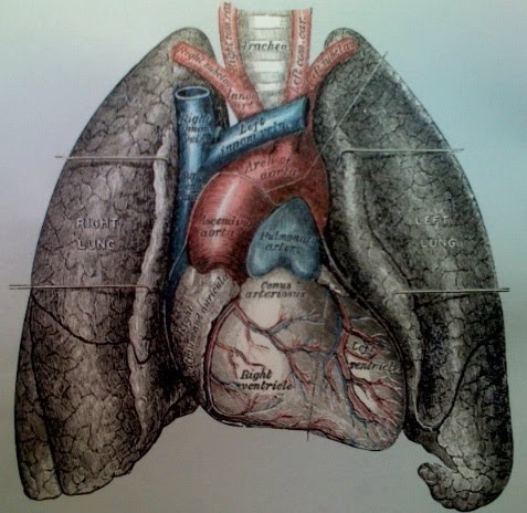 HEALTH FROM TRUSTED SOURCES: Coronary artery disease treatment