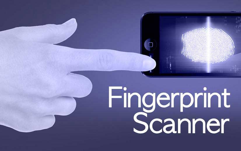How Does A Fingerprint Scanner Work — The Application Of Biometrics