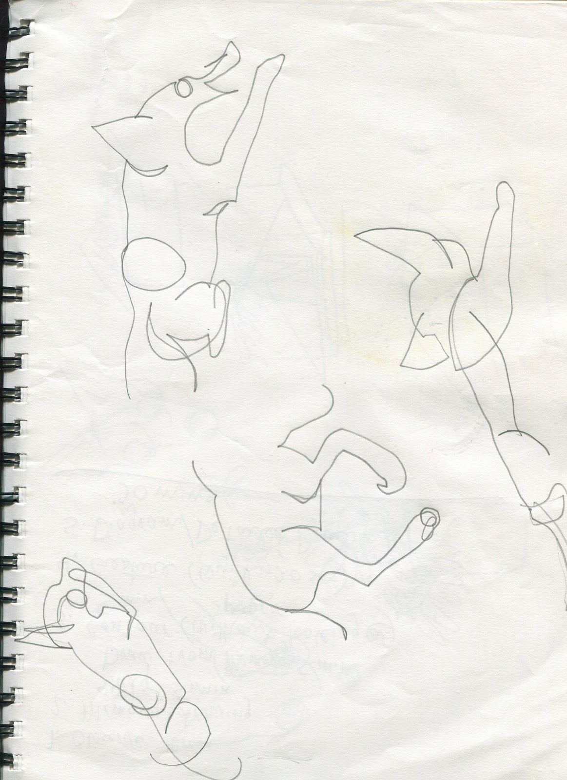 A Life Inspired by Nature A Fun Drawing Lesson