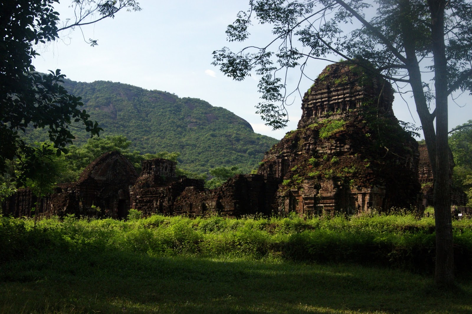 Мишон вьетнам