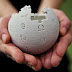 2012 Most Viewed Articles On Wikipedia