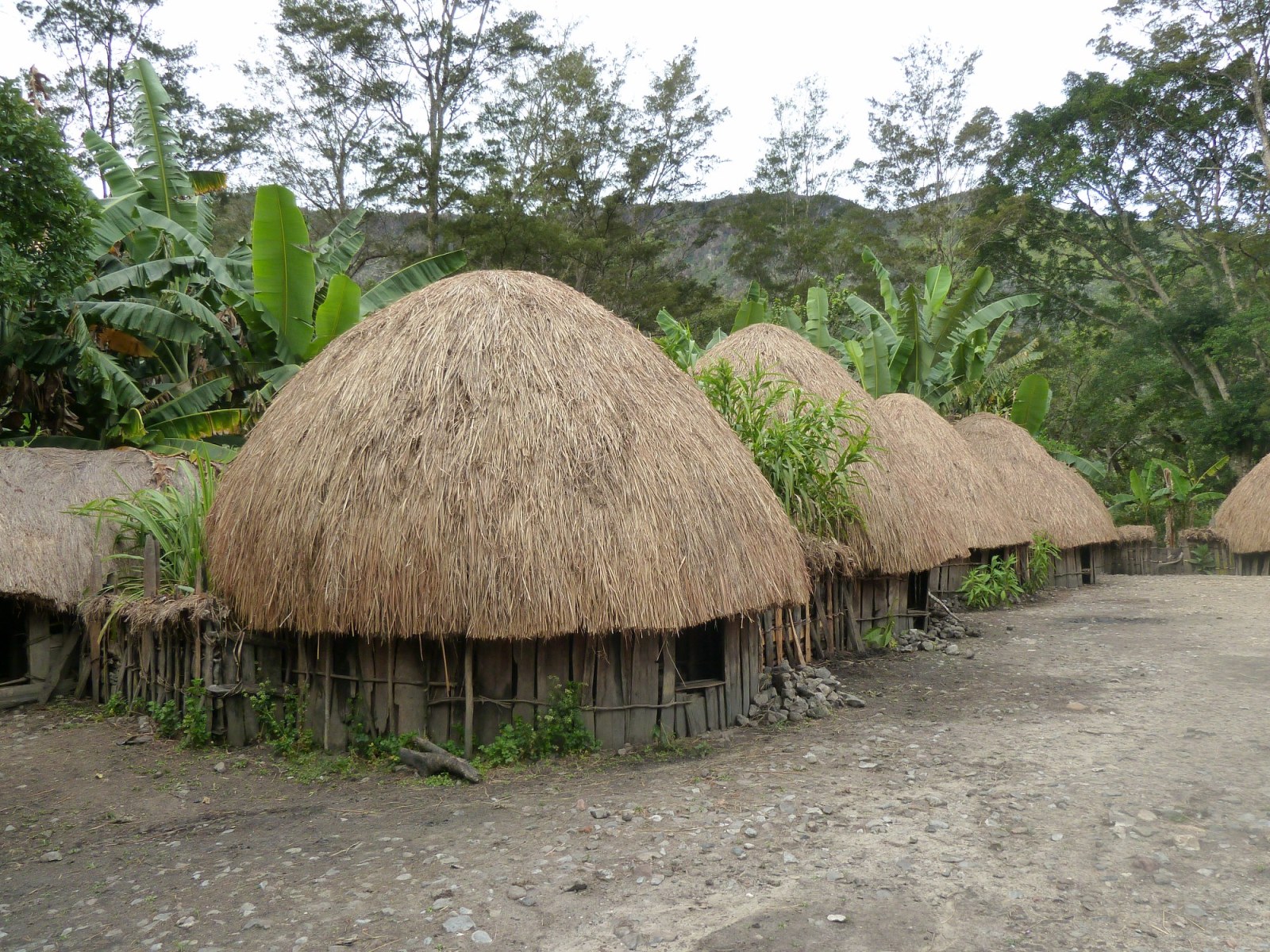 Download this Honai Adalah Rumah Khas Papua Struktur Bangunan Terbuat picture