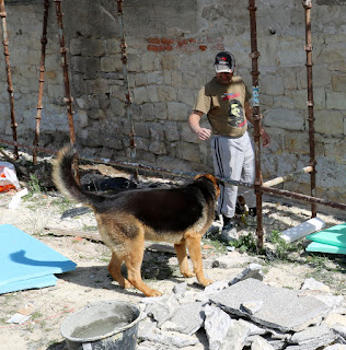 Rambo loves to get involved Rambo loves to get involved