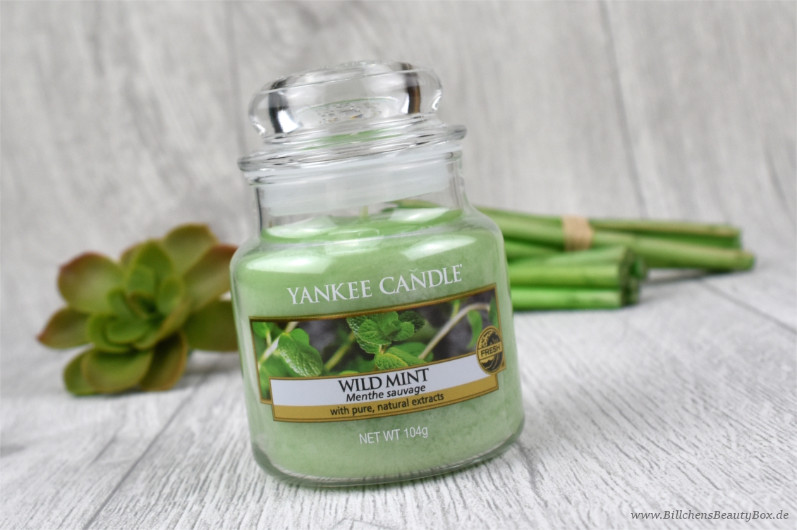 Yankee Candle Pure Essence Reihe - Wild Mint - Review & Duftbeschreibung