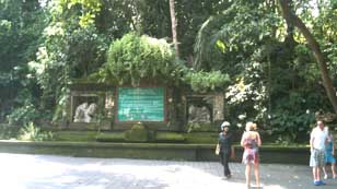 Hanya Ingin Berbagi Monkey Forest Ubud Bali Hanya Ingin Berbagi Monkey Forest Ubud Bali