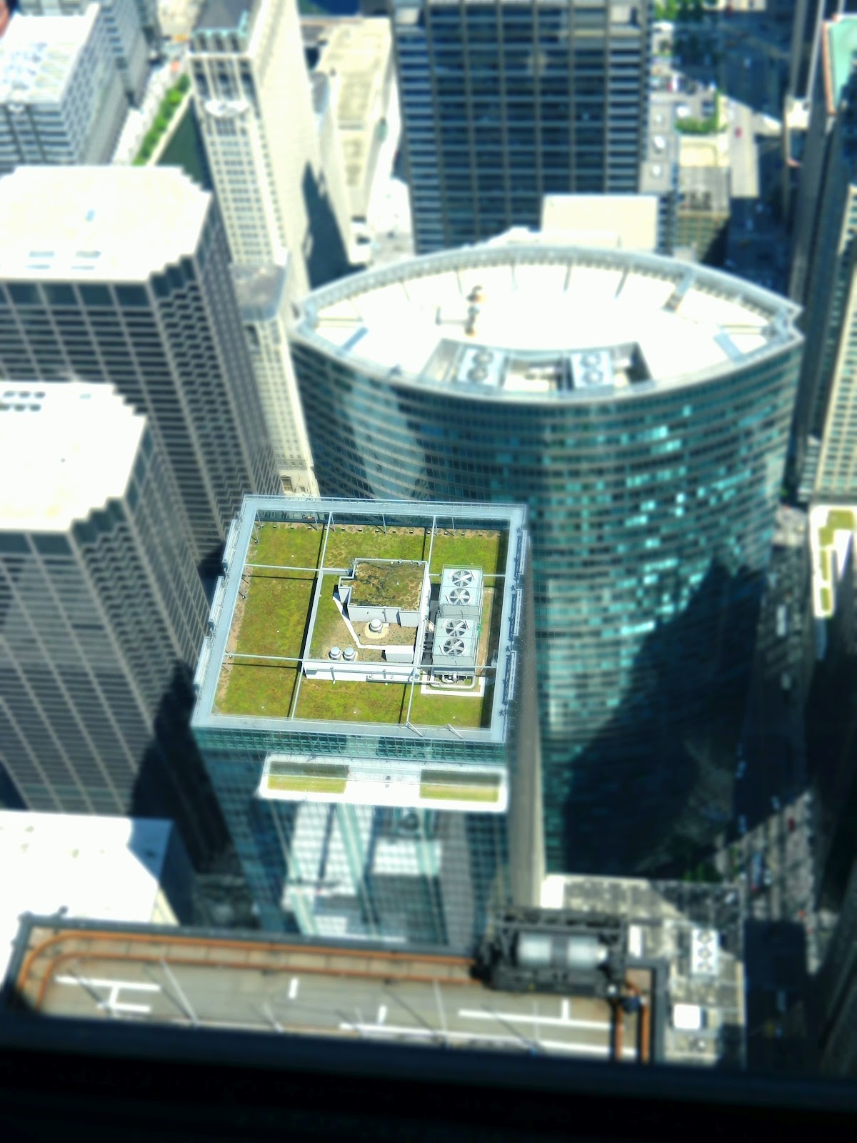 The Cyclist's Wife: Views from Sears Tower