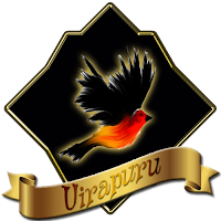 Guía informativa sobre colegios con sus respectivas casas y Universidad Uirapuru