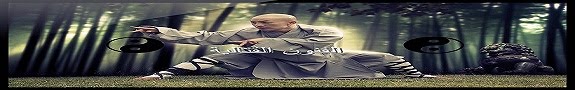 فنون القتال