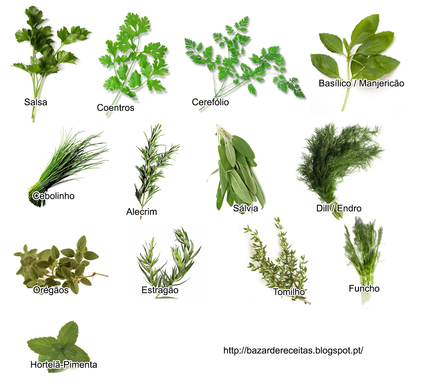 Bazar de Receitas ABC dos Temperos