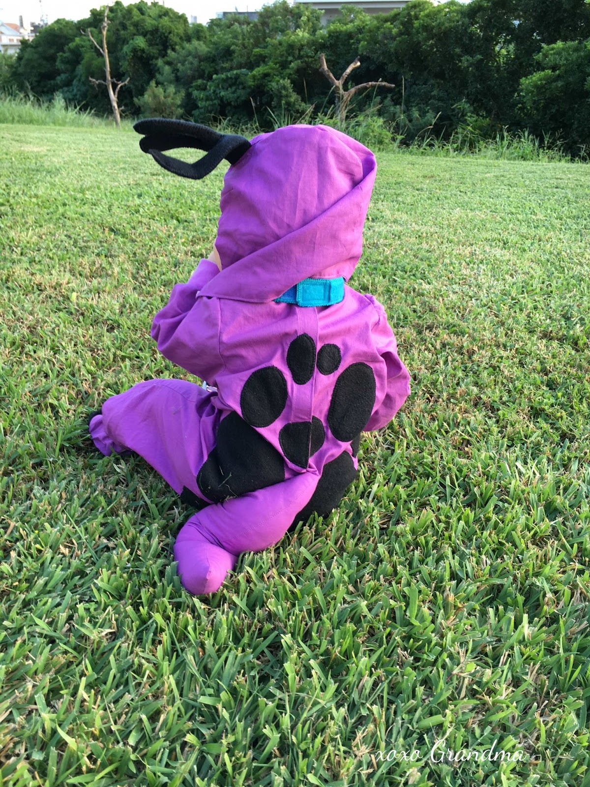 Flintstones Dino Dog Costume