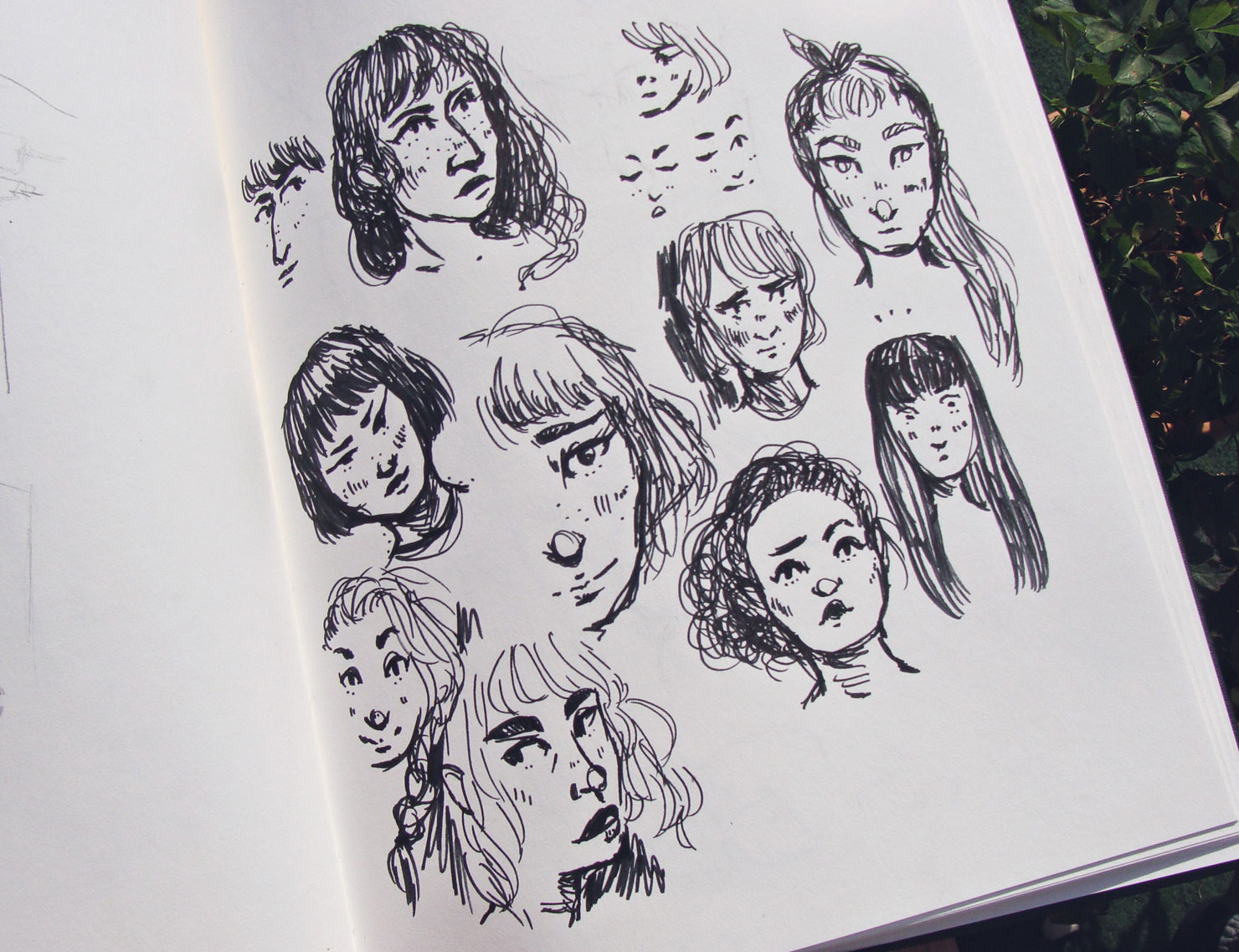 Kobes Typologische Entwicklung D Museumsstruktur By Team Blumfeld