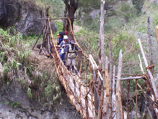 le culture de tribus dani