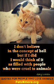  animal, dog, cat, pet, animal, inspiring quotes for animal lovers, petsnmore.org, hell