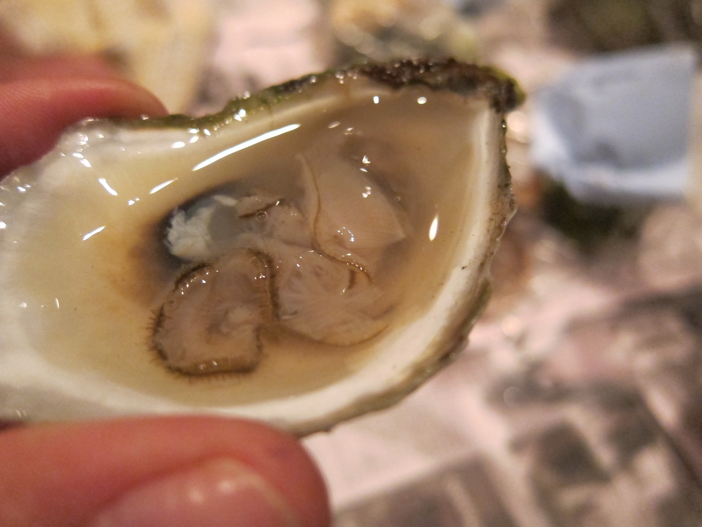 Figareau, cuisine évolutive Our Own Little Oyster Party