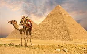 Egypt Travel 