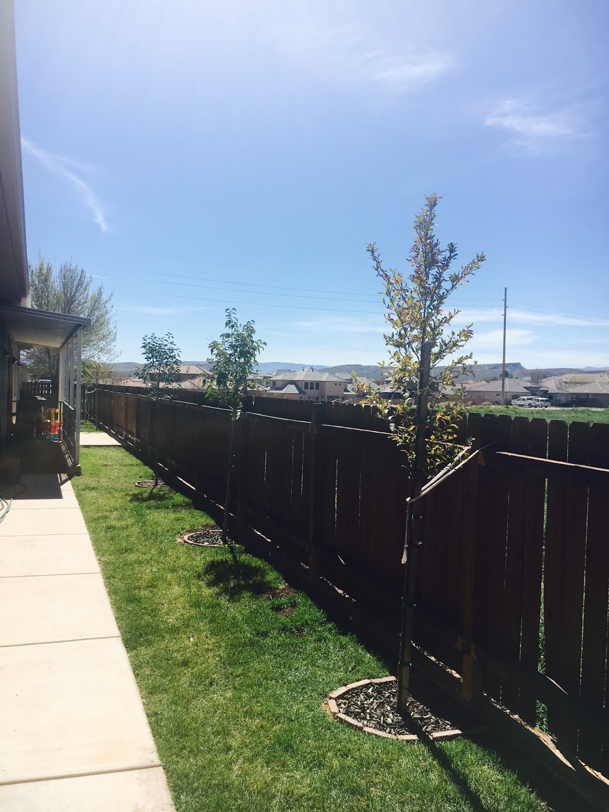 Country Lane Home for Sale