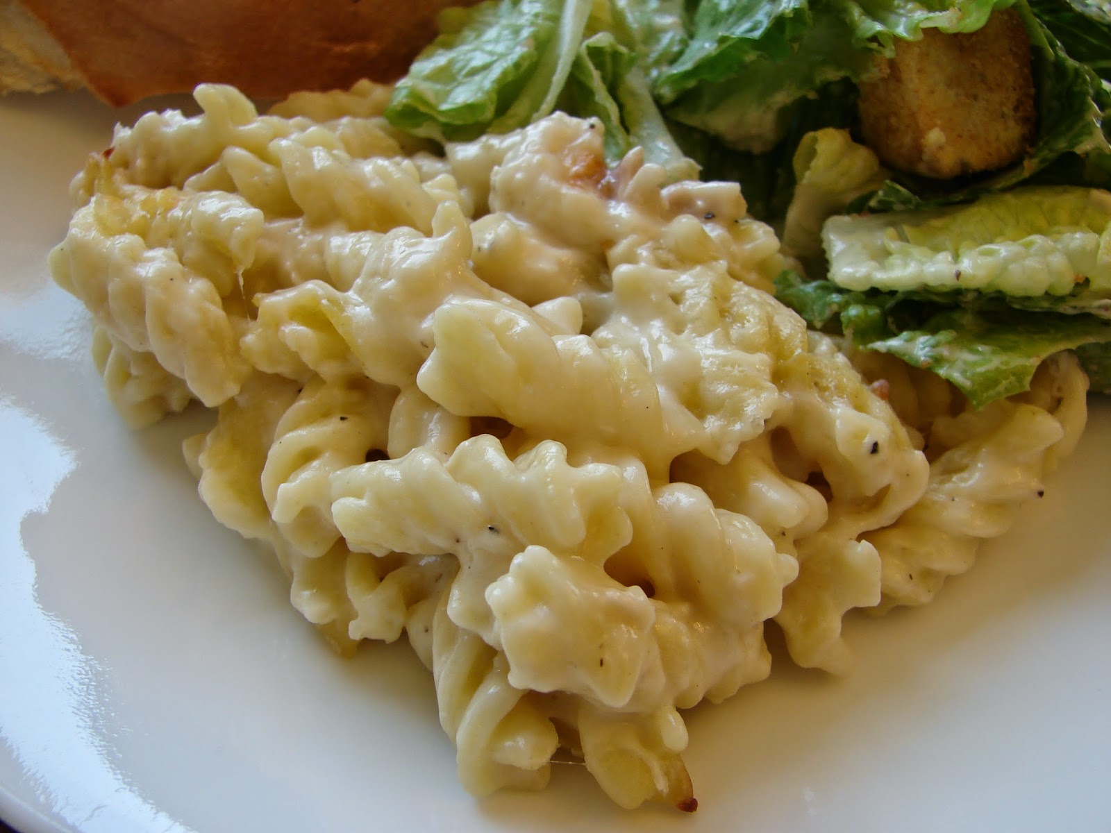 A Bear in the Kitchen Chicken Alfredo Rotini Casserole