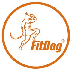 Meitä sponssaa FitDog